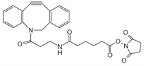 Picture of DBCO-COONHS ester