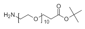 Picture of H<sub>2</sub>N-PEG<sub>10</sub>-CH<sub>2</sub>CH<sub>2</sub>COO<sup>t</sup>Bu