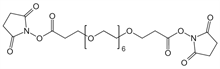 Picture of NHS-PEG<sub>6</sub>-NHS