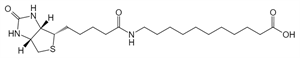 Picture of (+)-Biotin-SLC
