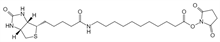 Picture of (+)-Biotin-SLC-NHS Ester