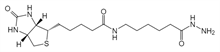 Picture of (+)-Biotin-LC-Hydrazide