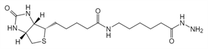 Picture of (+)-Biotin-LC-Hydrazide