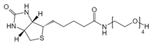 Picture of (+)-Biotin-PEG<sub>4</sub>-OH