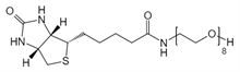 Picture of (+)-Biotin-PEG<sub>8</sub>-OH