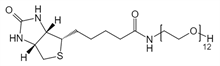 Picture of (+)-Biotin-PEG<sub>12</sub>-OH