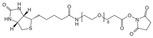 Picture of (+)-Biotin-PEG<sub>8</sub>-NHS Ester