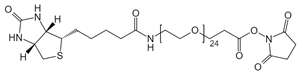 Picture of (+)-Biotin-PEG<sub>24</sub>-NHS Ester