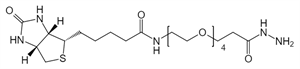 Picture of (+)-Biotin-PEG<sub>4</sub>-Hydrazide