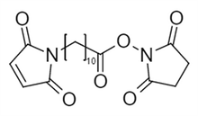 Picture of Maleimide-(CH<sub>2</sub>)<sub>10</sub>-COONHS
