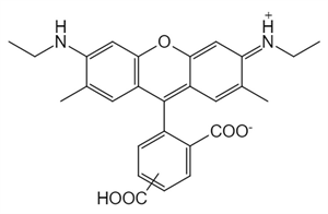 Picture of 5(6)-CR6G