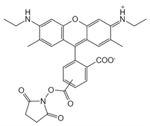 Picture of 5(6)-CR6G, SE