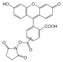 Picture of 5(6)-FAM, SE