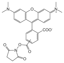 Picture of 5(6)-TAMRA, SE