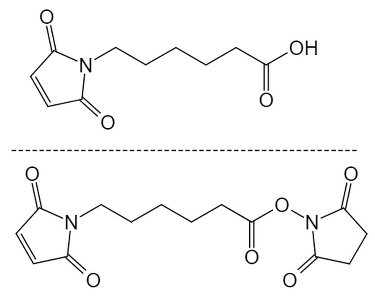 Picture for category Hydrophobic Linkers