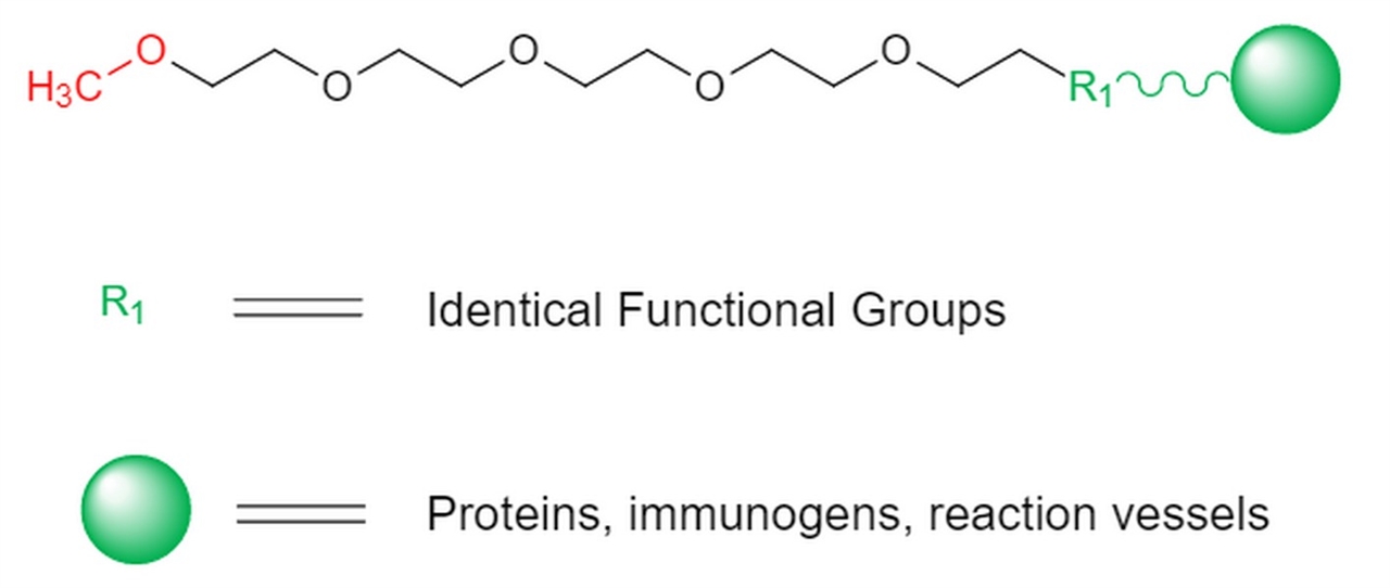 Picture for category PEGylation Reagents