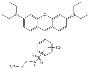 Picture of Lissamine Rhodamine B Ethylenediamine