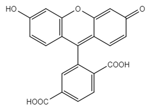 Picture of 6 - Carboxyfluorescein