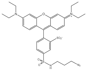 Picture of Sulforhodamine B azide